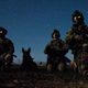 Illustration for article titled 26 Awesome Photos of War Dogs Showing How Badass emand/em Cute They Can Be
